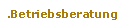 Betriebsberatung